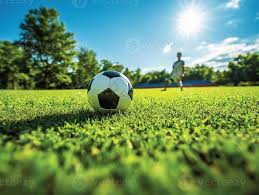 资深球迷使用场景