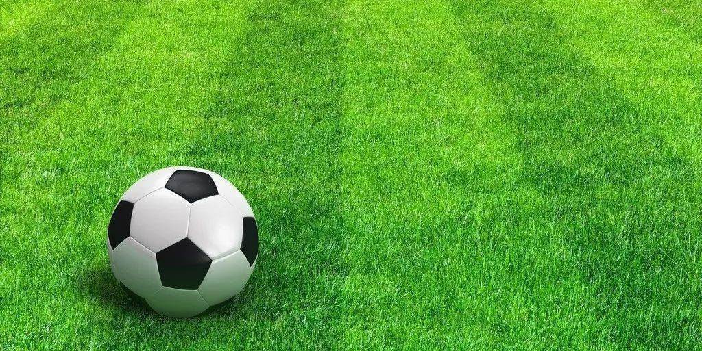 新手用户使用场景